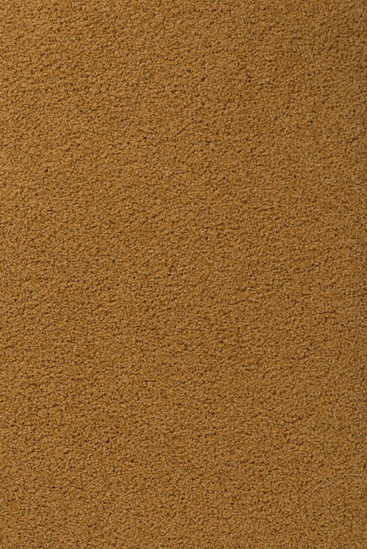Vorwerk%20Exclusive%201009%202D91.JPG