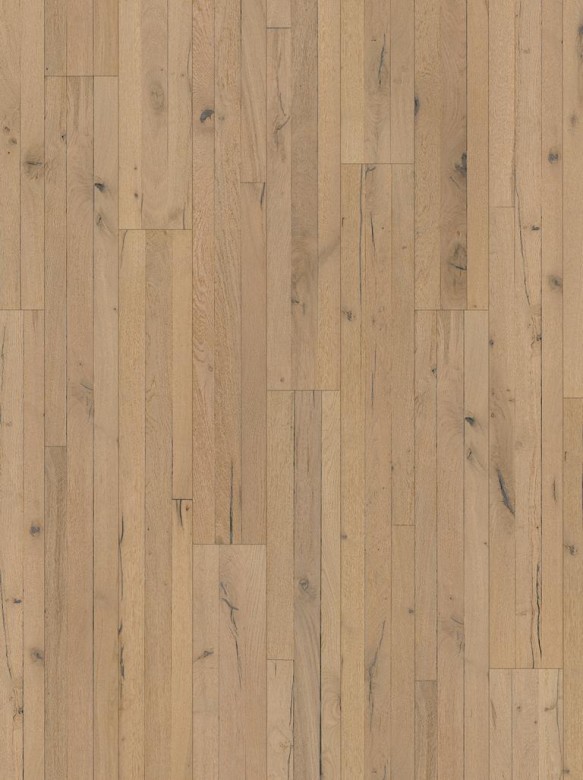 PARADOR%20Trendtime%208%20Eiche%20Pinot%20Loftplank%201744430%20Room%20Up.JPG
