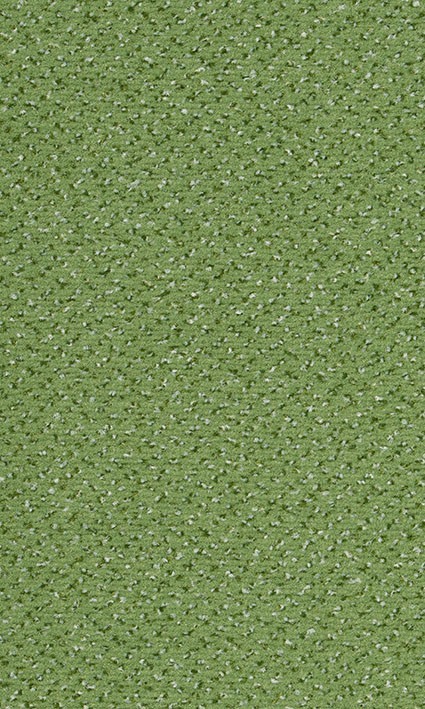 VORWERK%20Teppich%20Passion%201006%20Alexis%204H14%20%20Room%20Up.JPG