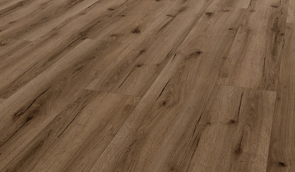 TER%20HÜRNE%20Soya%20Design%20Vinylboden%201%20Wood%20Edition%20Comfort%20Lange%20LHD%20Eiche%20Cairo%201101200523%20Room%20Up%20Perspektive.jpg