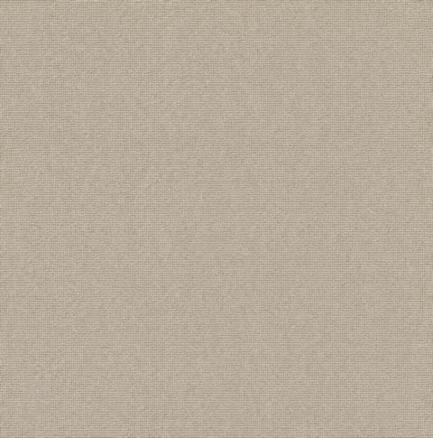 VORWERK%20Teppich%20Essential%201008%20Rustica%206C62%205m%20Room%20Up.JPG