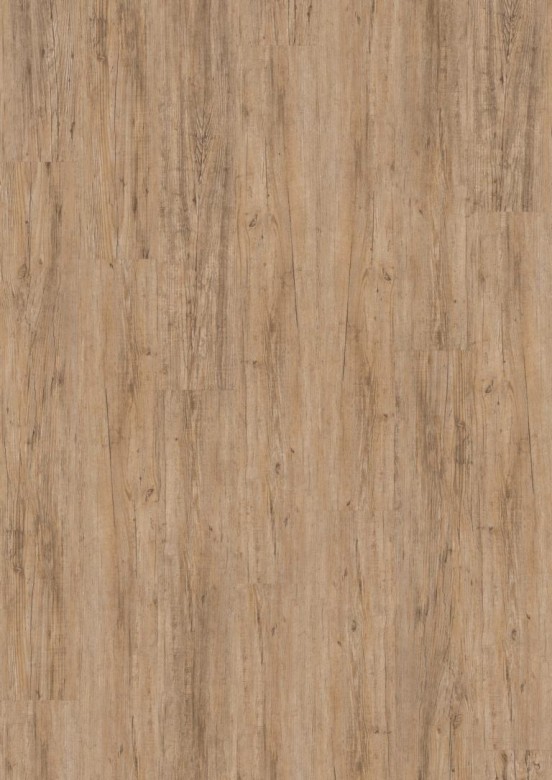 JOKA%20Design%20330%202825%20Wild%20Pine%20Room%20Up.JPG