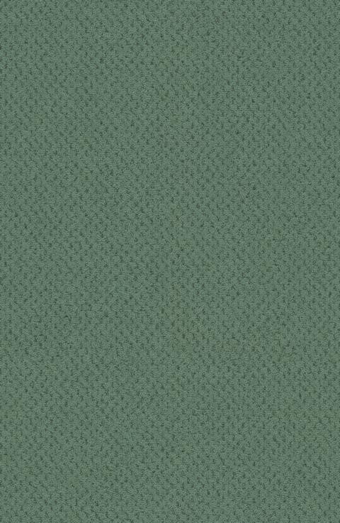 VORWERK%20Teppich%20Superior%201071%20Dacapo%204H01%20Room%20Up.JPG