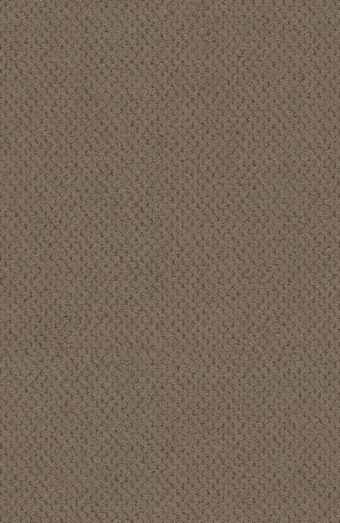 VORWERK%20Teppich%20Superior%201071%20Dacapo%207G84%20Room%20Up.JPG