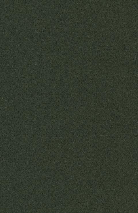 VORWERK%20Teppich%20Superior%201071%20Dacapo%204G98%20Room%20Up.JPG
