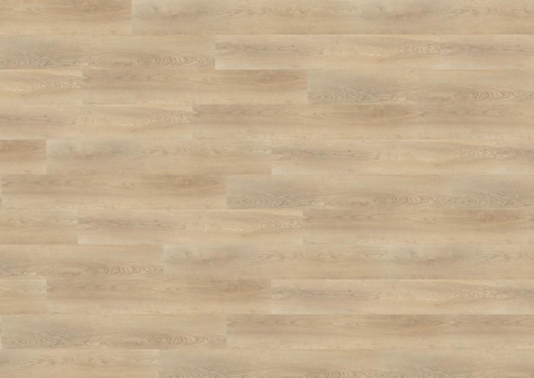 WINEO%20600%20wood%20XL%20DB190W6%20MilanoLoft%20Room%20Up.JPG