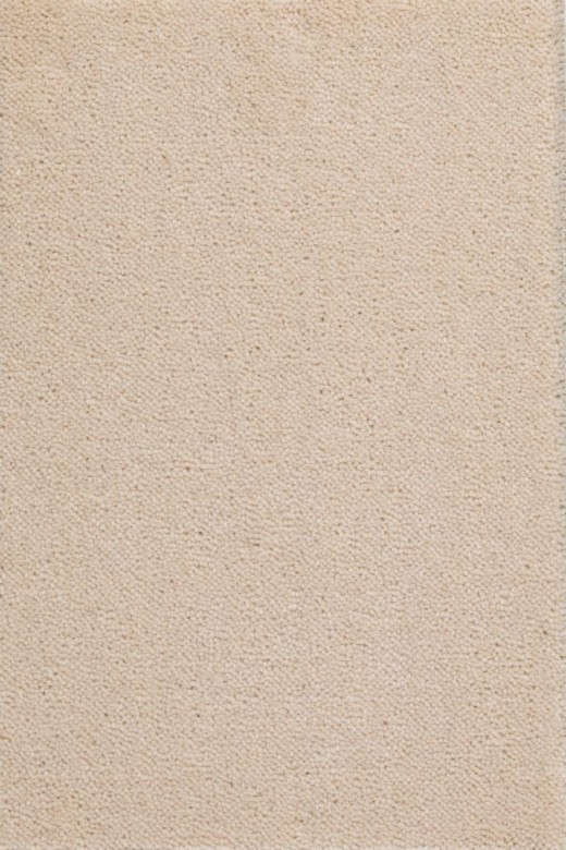 CREATUFT%20Sheba%201004%20Room%20Up.jpg