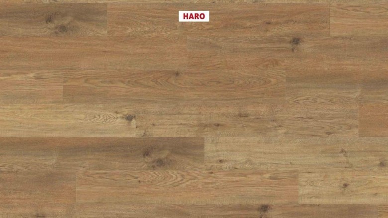 HARO%20WaveAqua%20LHD%204V%20Eiche%20Whistler%20natur%20548199%20Room%20up.JPG