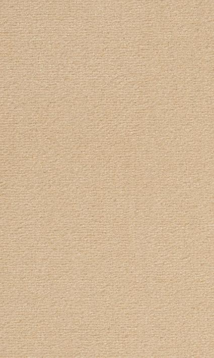 VORWERK%20Teppich%20Passion%201021%20Bingo%208K64%20Room%20Up.JPG