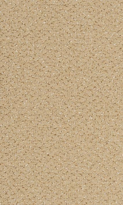 VORWERK%20Teppich%20Passion%201006%20Alexis%208K84%20Room%20Up.JPG