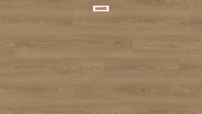 HARO%20Disano%20Project%20Landhausdiele%204VM%20Eiche%20Picardie%20natur%20543399%20Room%20Up.JPG