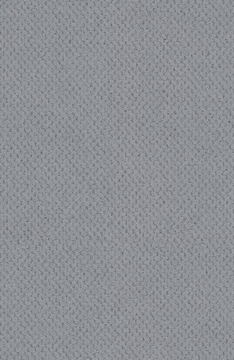 VORWERK%20Teppich%20Superior%201071%20Dacapo%205Y38%20Room%20Up.JPG