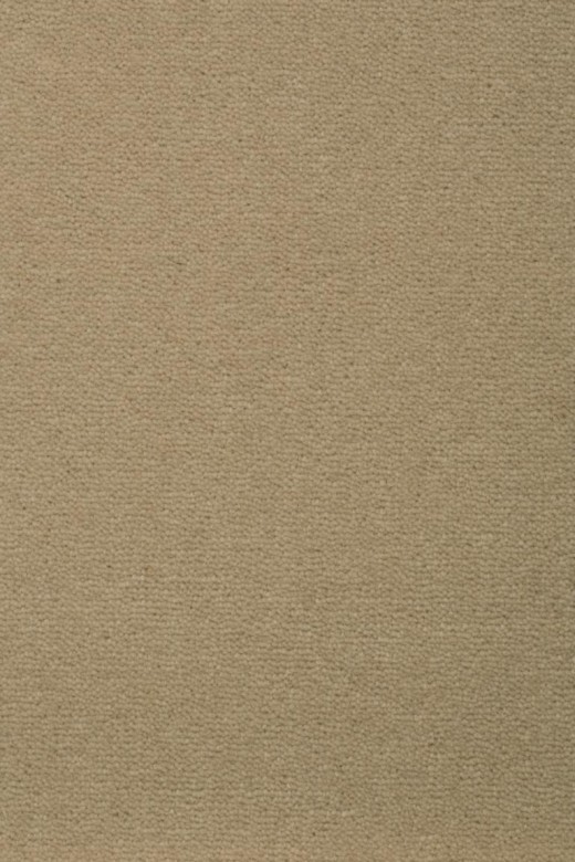 CREATUFT%20Sheba%201184%20Room%20Up_1.jpg